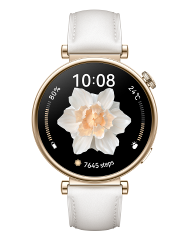 Watch GT 4 (41MM) (ARA-B19)