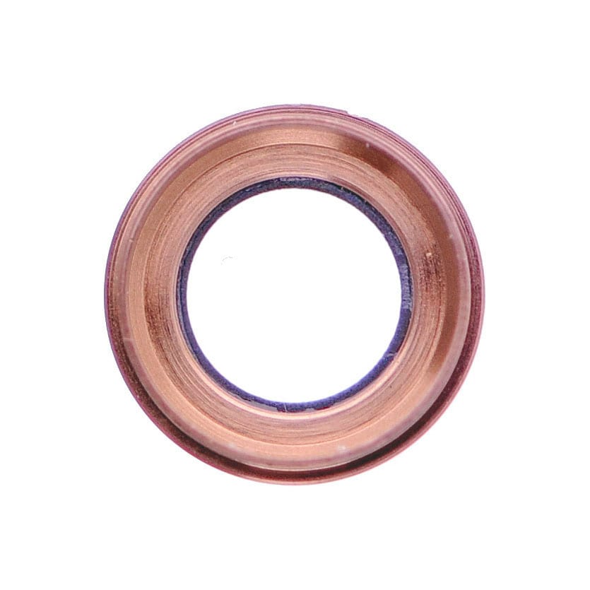 Apple iPhone 6 Plus/iPhone 6S Plus Camera lens Frame + Camera Lens - Rose Gold