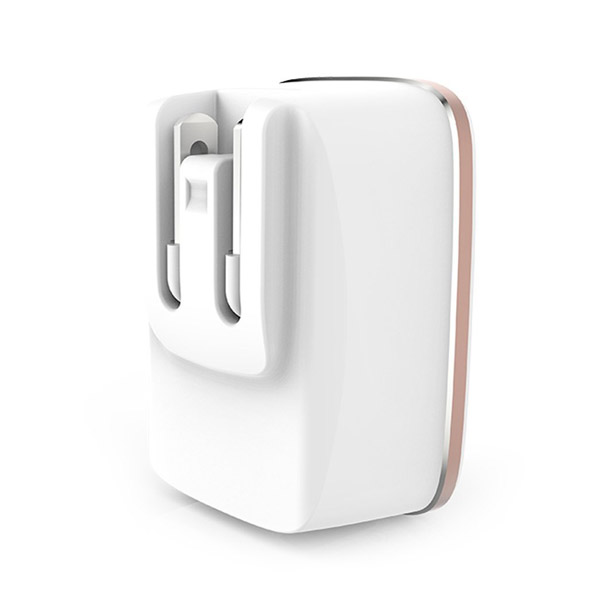 LDNIO - 1 USB Plug 2.4A Fast Charger + Micro USB Cable - EU/UK Power Socket - A1204Q