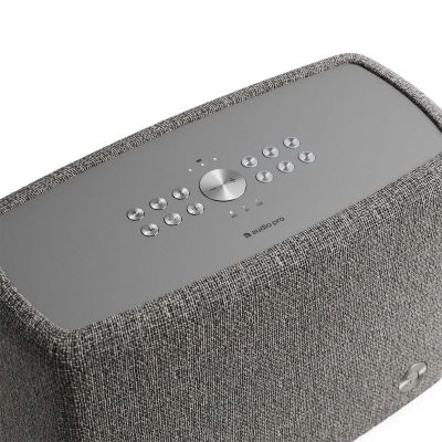 Audio speaker - Dark Grey