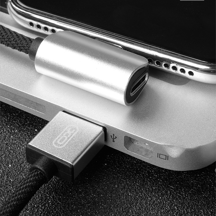 XO 2 in 1 Lightning Charge & Sync USB Cable with Soundsplit adapter - NB46 - Silver